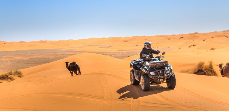 Thrills and Tranquility: Desert Camps with Quad Biking